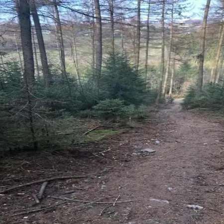 Retreat Near Forest, Cleaning Included 펜션