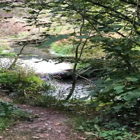 Retreat Near Forest, Cleaning Included 와이메스