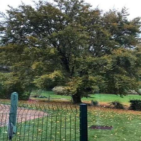 Retreat Near Forest, Cleaning Included Waimes