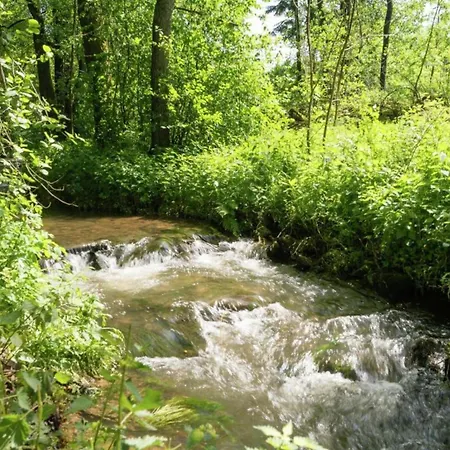 بيت للعطل Retreat Near Forest, Cleaning Included